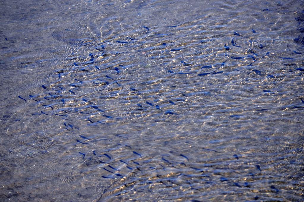 Moinhos Das Mares Fuzeta Kültér fotó