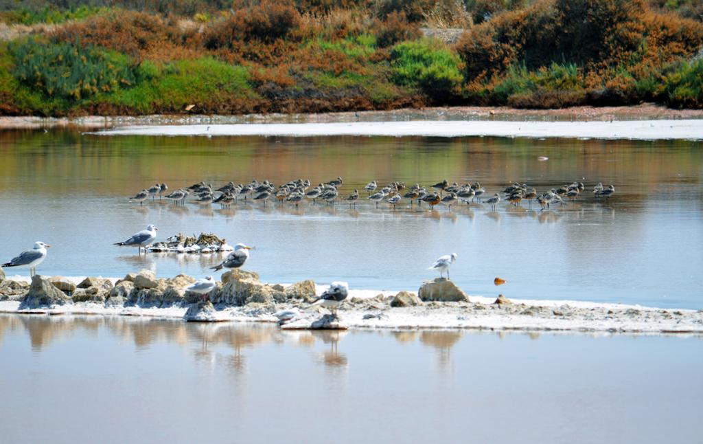Moinhos Das Mares Fuzeta Kültér fotó