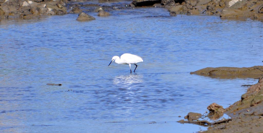 Moinhos Das Mares Fuzeta Kültér fotó