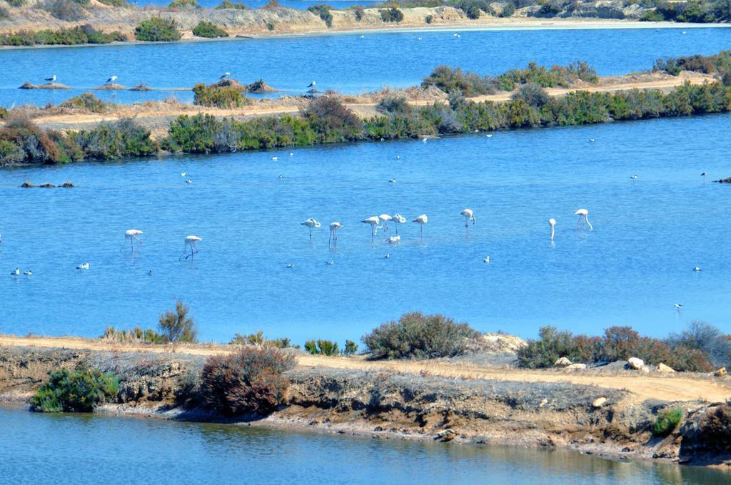 Moinhos Das Mares Fuzeta Kültér fotó