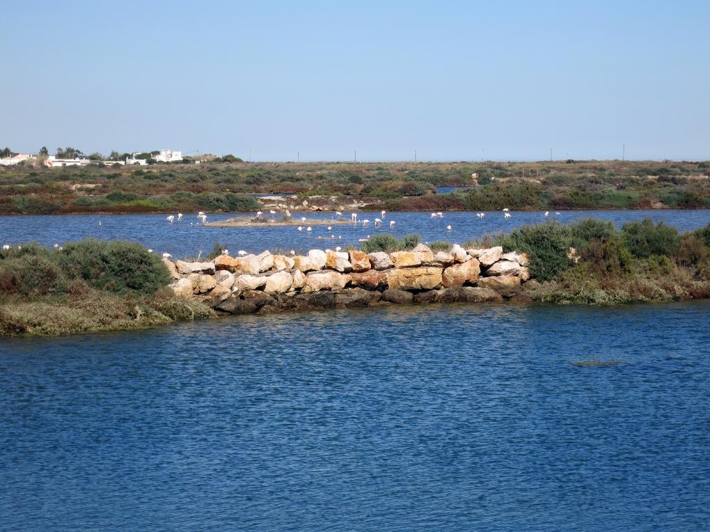 Moinhos Das Mares Fuzeta Kültér fotó
